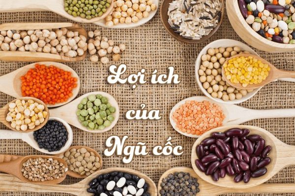 Tác dụng của bột ngũ cốc các loại đậu