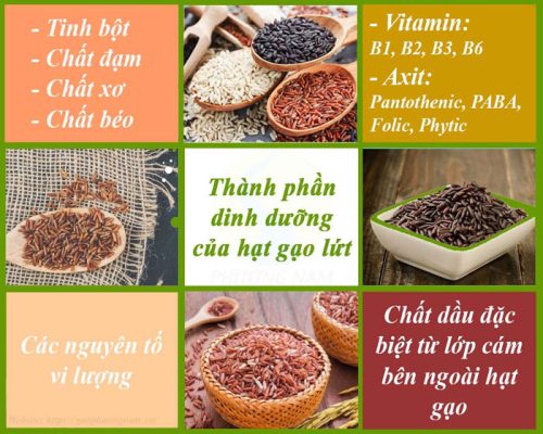 tác dụng của gạo dinh dưỡng