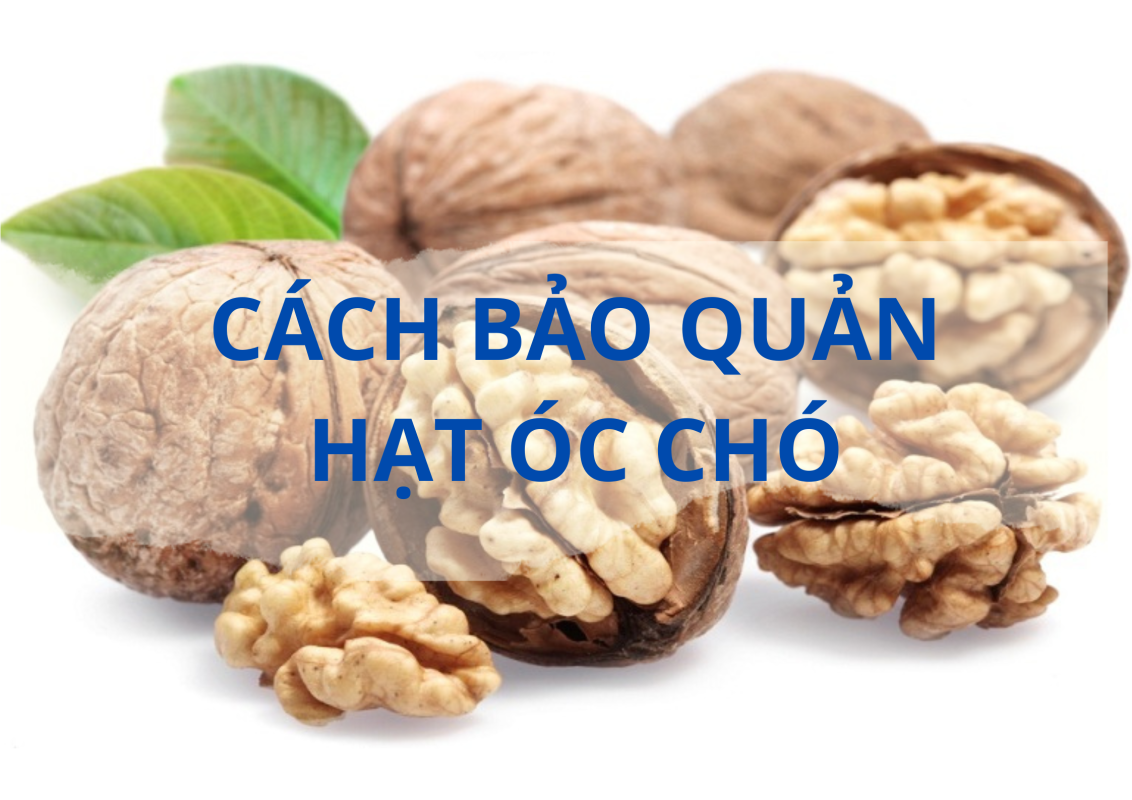cách bảo quản hạt óc chó