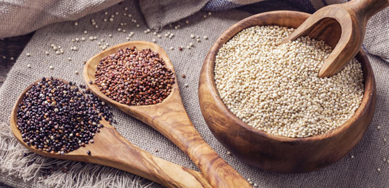 hạt quinoa
